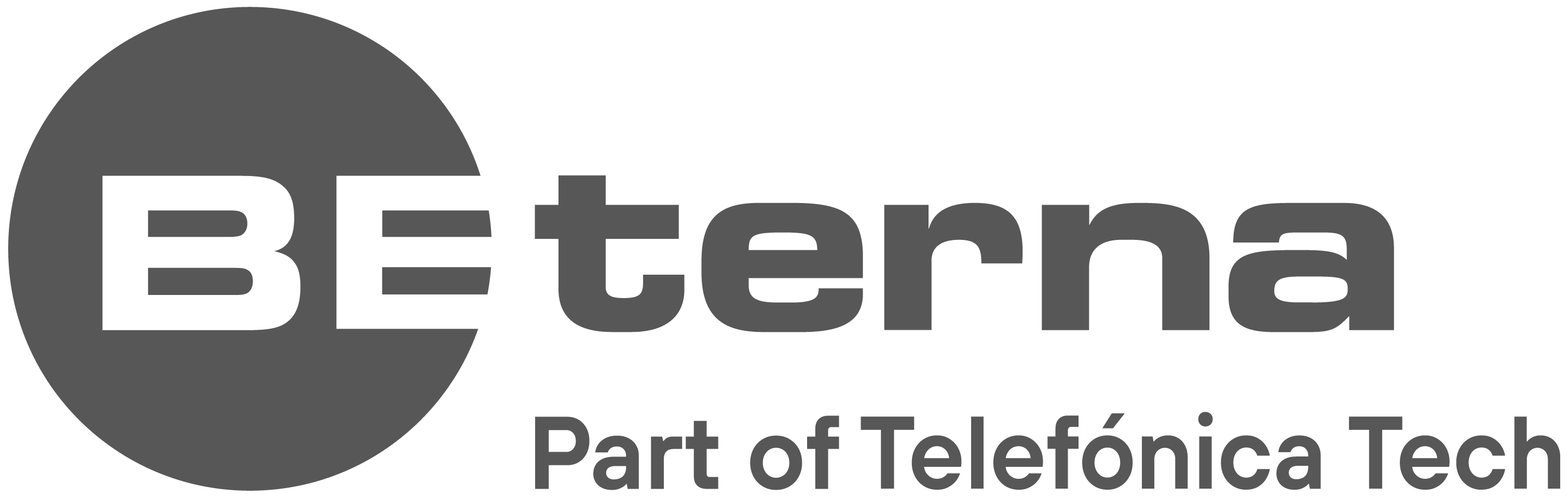 BE-terna GmbH